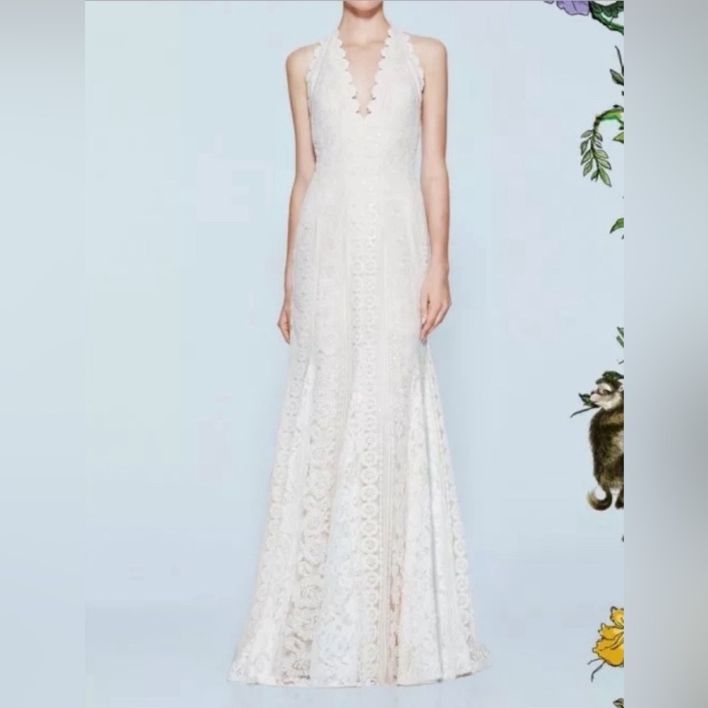 Tadashi Shoji Lunet gown
